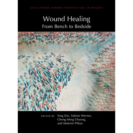 Wound Healing: From Bench to Bedside, (Hardcover)