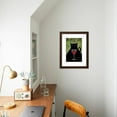thumbnail image 4 of Black Cat Winery, Animals Framed Art Print Wall Art by Ryan Fowler, 4 of 6