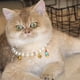thumbnail image 5 of 438PCS - Juguete para gatos - Estilo bola de menta, 5 of 5