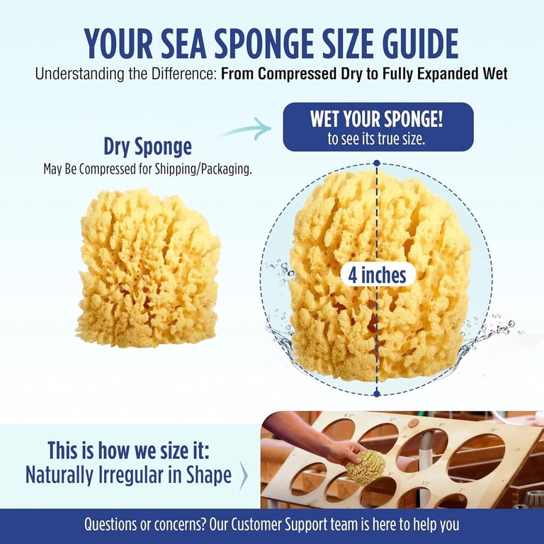 Baby Buddy Natural Wool Sea Sponge for Newborns photo 7