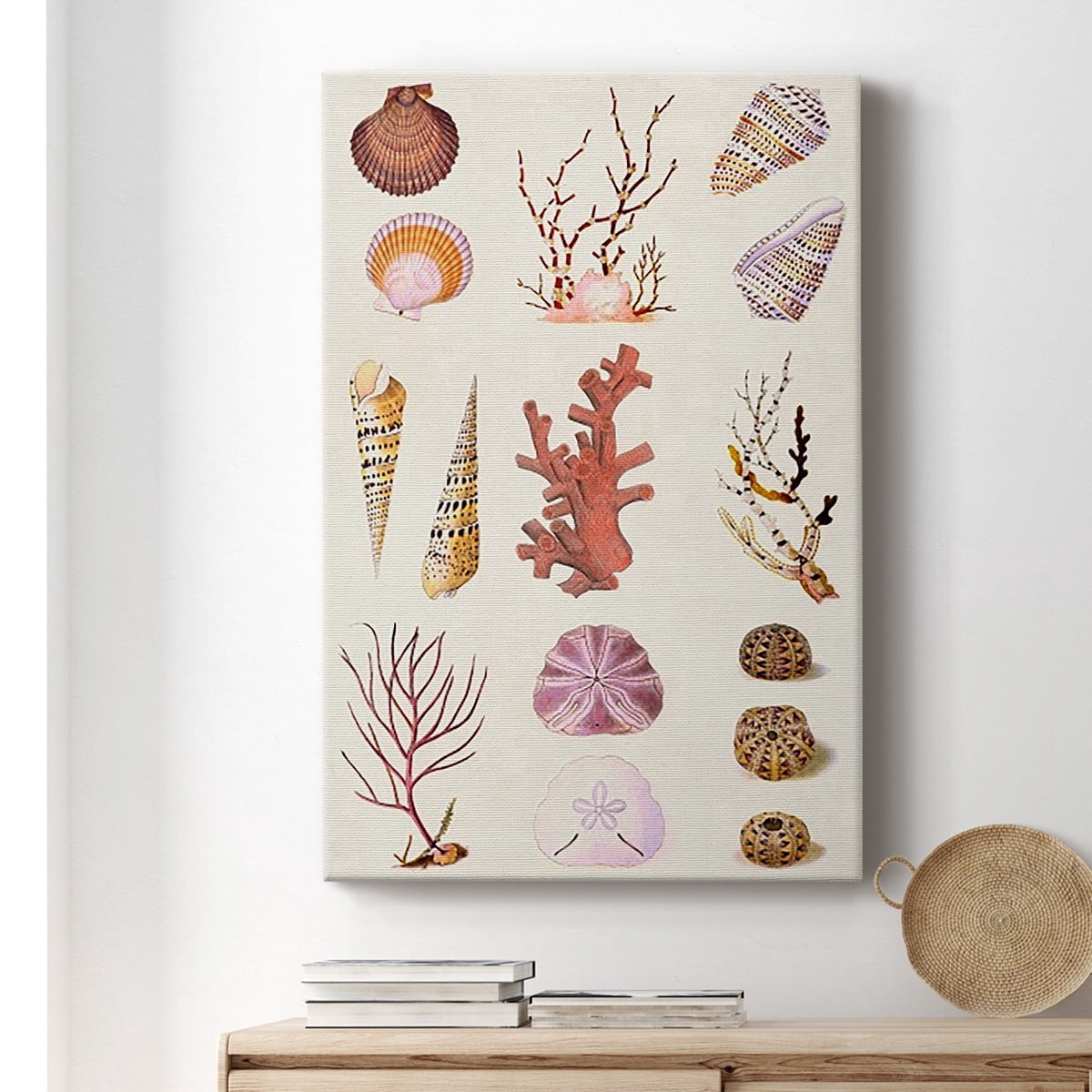 Coral & Shell Collage II Premium Gallery Wrapped Canvas - Ready to Hang