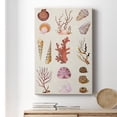 thumbnail image 6 of Coral & Shell Collage II Premium Gallery Wrapped Canvas - Ready to Hang, 6 of 9