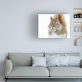 thumbnail image 2 of Mircea Costina 'Christmas Squirrel' Canvas Art, 2 of 4