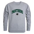 thumbnail image 1 of W Republic 541-457-HGY-04 NCAA Plymouth State Panthers T-Shirt Col Rond Campus, Gris Chiné - Extra Large, 1 of 1