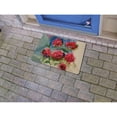 thumbnail image 2 of Betsy Drake Interiors Red Geraniums Door Mat 18x26, 2 of 2
