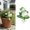 C, variant on 1 Pc Climbing Hugger Frog Resin Statue Sculpture, Cute Cartoon Frog Pot Hanger Figurine, Weatherproof Outdoor Decor for Garden Fence Balcony Patio Yard Home Lawn (A)