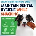 thumbnail image 5 of Large Pig Ears for Dogs 100 Pack –Single Ingredient Dog Treats – Long Lasting Chew by Fetcheroni, 5 of 8