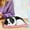 E, variant on Funny Toys Dog Sleeping In The Mattress Doll Toy Mini Dog In Shoe With Meows Sounds Sleeping Cute Kitty Toys For Kids Boys Girls