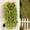Yellow, variant on Red Rose Garland,Faux Roses,Artificial Flowers for Outdoors,Faux Silk Violet Uv Resistant Look Real Trailing Vines for Outside Home Planter Porch Patio
