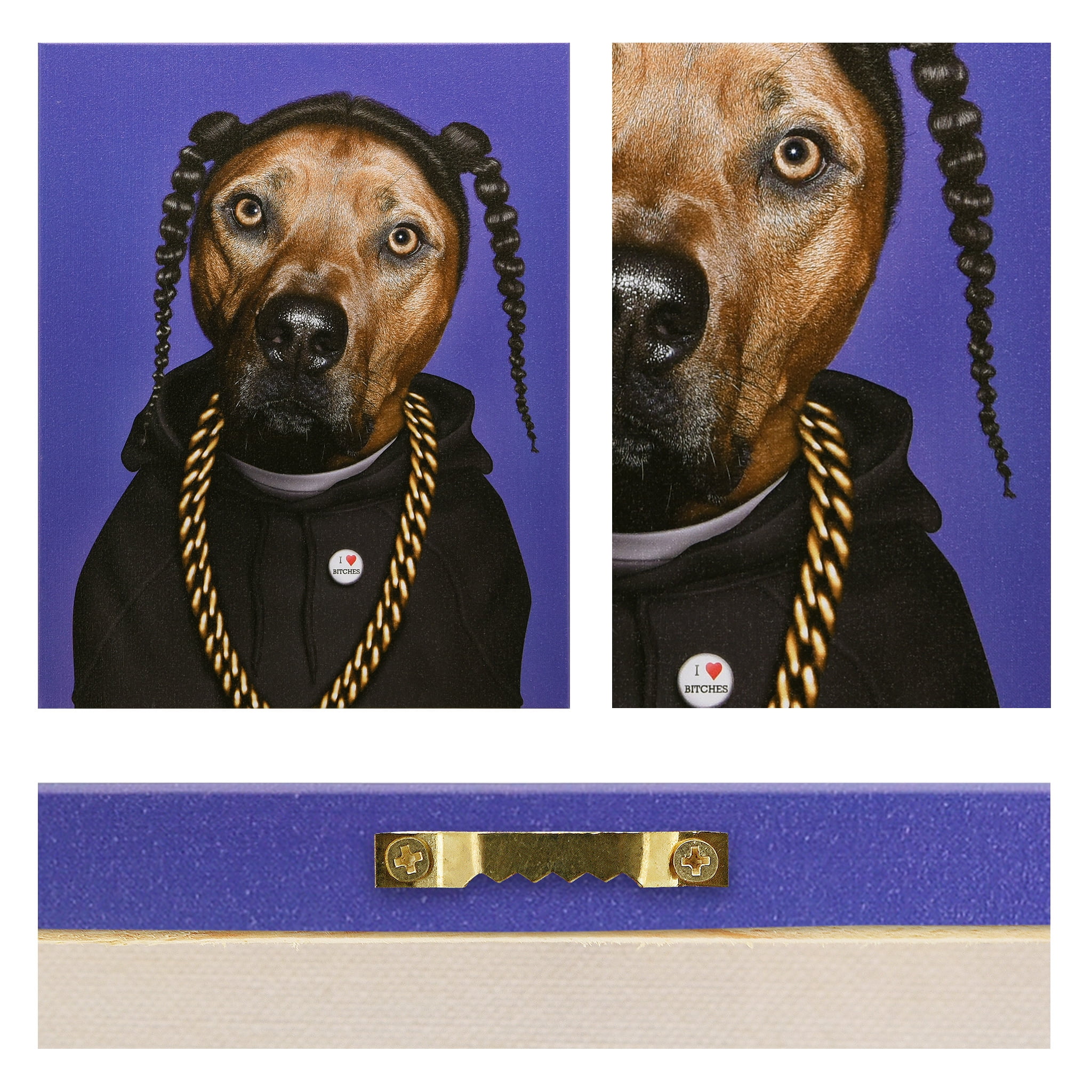 Empire Art Direct Pets Rock Rap Graphic Art on Wrapped Canvas Dog Wall Art