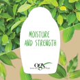 thumbnail image 3 of Organix Teatree Mint Conditioner by Organix for Unisex - 13 oz Conditioner, 3 of 4