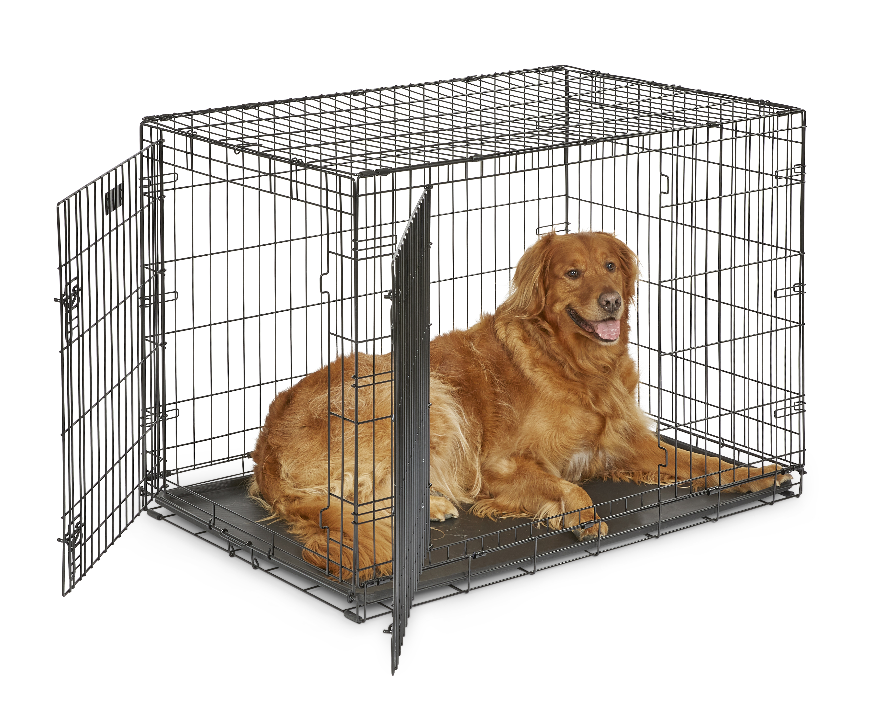 MidWest Homes For Pets Double Door iCrate Metal Dog Crate, 42" - image 2 of 8