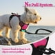 thumbnail image 4 of Arnés para perros Rabbitgoo, ajustable, sin tirones, rosa intenso, XS, 4 of 7