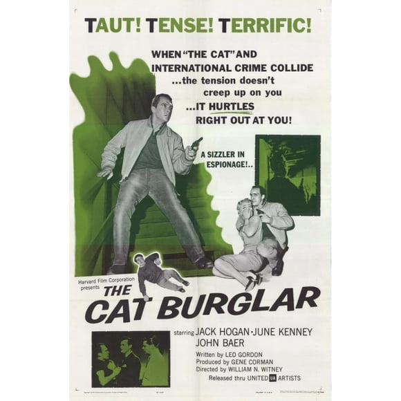 The Cat Burglar Movie Poster (11 x 17)