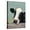 Canvas, variant on Art.com Holstein Cow III Art Print by Jade Reynolds, 12" x 16"