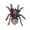 A, variant on Unique Spiders Brooch Accessory Fashionable Spiders Brooch with Sparkling Stone Versatile Lapel Pin Jewelry Charm