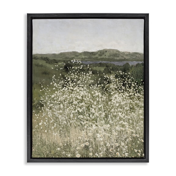 Stupell Industries French Country Sunlit Meadow of White Daisies Black Floating Frame Canvas Art, 17 x 21, by Amber Sterling