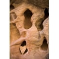 thumbnail image 2 of Paulson, Don 11x14 Gold Ornate Wood Framed with Double Matting Museum Art Print Titled - UT, Canyonlands NP Heart-shape rock in sandstone, 2 of 4