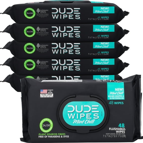 DUDE Products Flushable Wipes, Mint Chill, 288 Count, 6 Pack