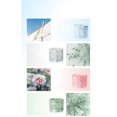 thumbnail image 6 of Damask Rose Candle Scented Candle Box Decorative Candle Scene Layout Candle Desktop Candle Fragrance Candle Candle Aromatic Candle Tabletop Candle, Candles And Candle Holders, 6 of 9
