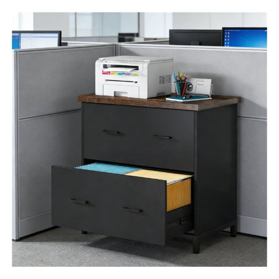 Lateral File Cabinet, 2 Drawer Office Storage Cabinet