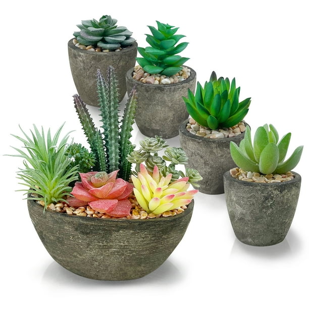 5 Pack Artificial Plant, Fake Succulent, Artificial Flowers with Cement ...