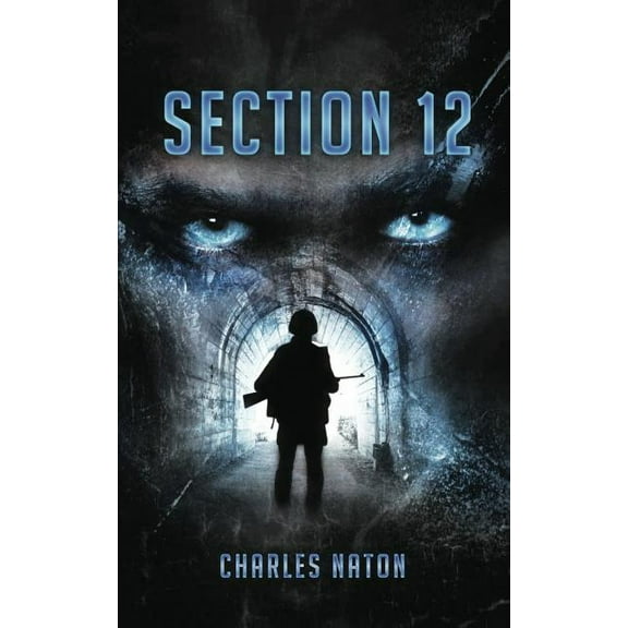 Section 12 (Paperback)