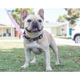 thumbnail image 5 of Blue Frog Track N Guard Protective GPS Tracking Dog Collar, Rose Gold, Medium, 5 of 6