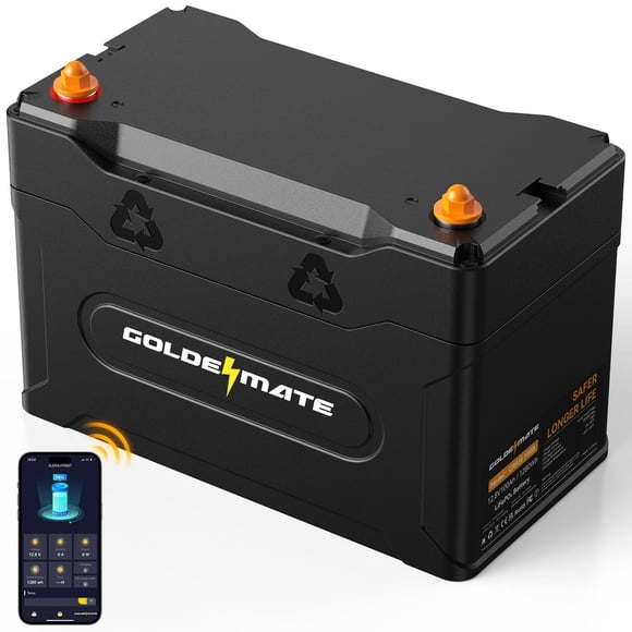 Batería LiFePO4 GOLDENMATE 12 V 100 Ah Grupo 31 Bluetooth IP67