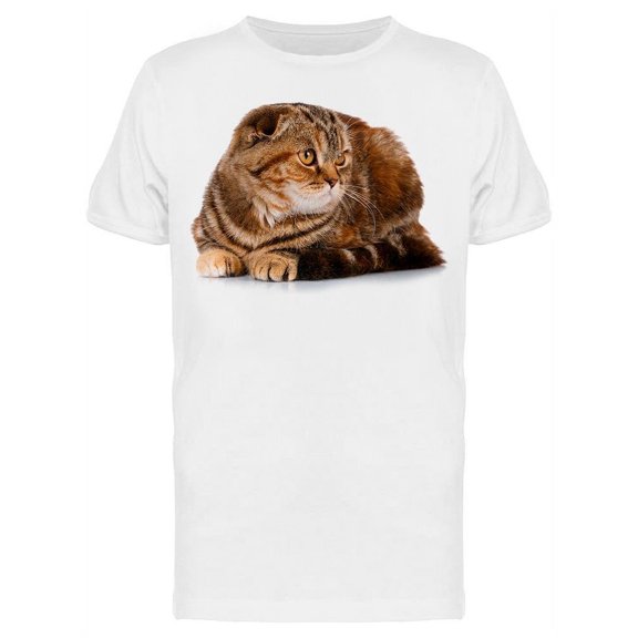 Cat On His Legs Looking At Side T-Shirt Men -Image by Shutterstock Men T-Shirt, Male 3X-Large