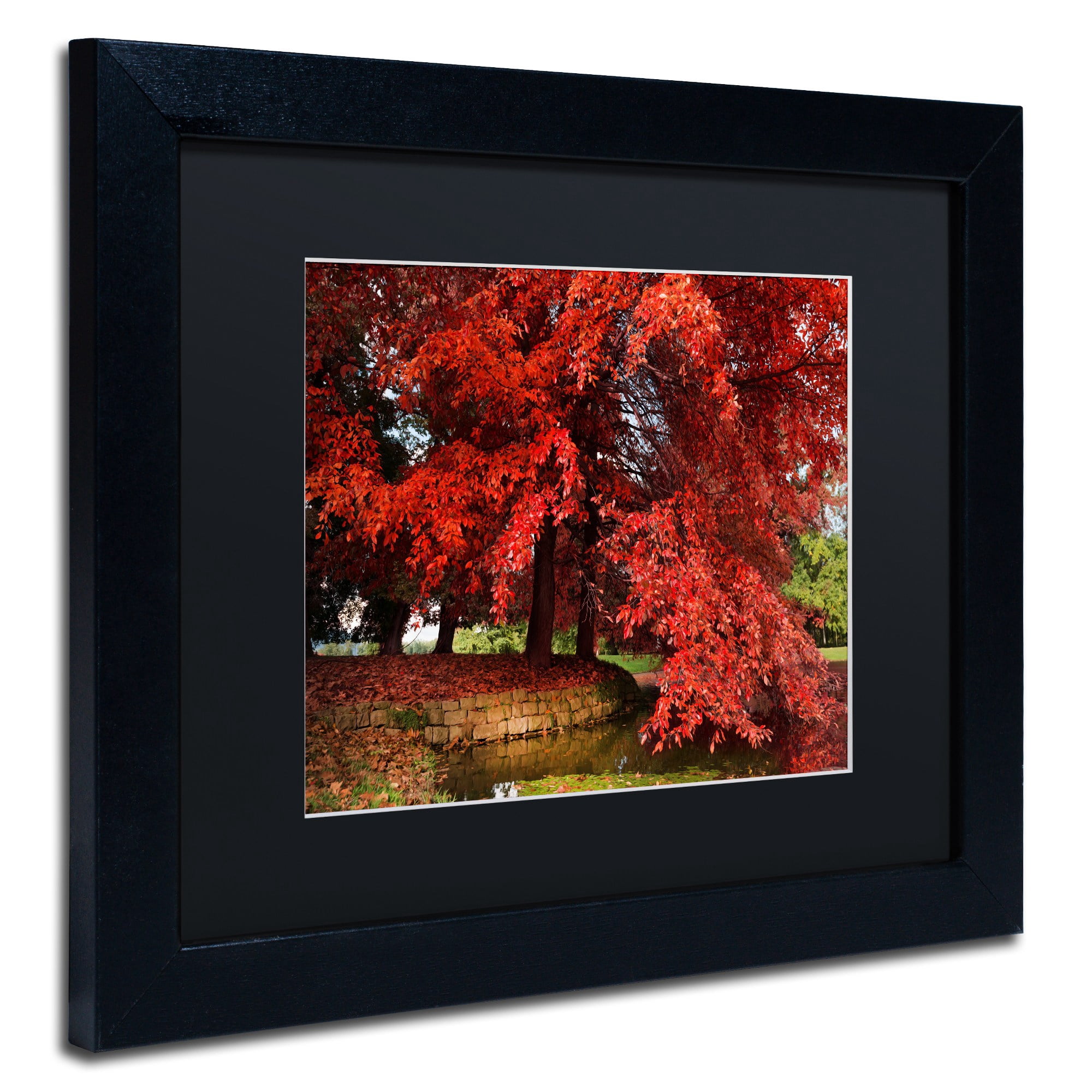 Trademark Fine Art "October" Canvas Art by Philippe Sainte-Laudy Black Matte, Black Frame