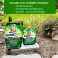 thumbnail image 4 of Nature's MACE Granular Deer & Rabbit Repellent, 6 lb. Bag, Treats up to 6,000 Sq.ft, 4 of 7