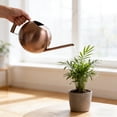 thumbnail image 2 of fsxdhpcsgfc Stainless Steel Watering Can 10 Ml Watering Can For Indoor With Long Spout For In The Home Garden Hanging In The Milk Can Cooker German Bar Gooseneck Pour over Pour over Pitcher Coffee, 2 of 3