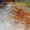 Paprika, variant on Addison Rugs Chantille Indoor/Outdoor Transitional Modern Aloe Machine Washable Rectangle Rug, 10' x 14'