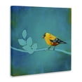 thumbnail image 3 of Stupell Industries Mid-Century Canary with Abstract Branch Canvas Art, 36 x 36, by Stacy D'Aguiar, 3 of 8