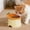 Orange-OR-clearacne, variant on WWG Adjustable Angle Silicone Raised Dog Bowl Fruit Design Elevated Feeder with Antiskid Base for Dogs Cats Puppies Kittens 6.3x4.9in