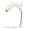 thumbnail image 2 of Nearly Natural 21in. Phalaenopsis Orchid Artificial Flower (Set of 6), White, 2 of 2