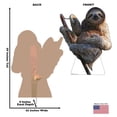 thumbnail image 2 of Sloth, 2 of 3