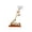 A, variant on Gold Foil Colored Gold Roses Starry Sky Glow Teacher's Day Chinese Valentine's Day Day Birthday Woodsy Wedding Decorations Wedding Decorations Reception Potted Flowers for Outdoors Real Looking