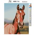 thumbnail image 3 of Horse - Kit de Peinture Diamant Premium Exclusif, 3 of 8