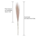thumbnail image 2 of 1pc Faux Pampas Grass Tall 19.29"/ 1.61FT, Non-Shedding Large Artificial Fluffy Reed Fake Flower Feather Arrangement for Floor Vase Filler Boho Farmhouse Home Wedding Decor, 2 of 8