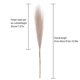 thumbnail image 2 of Ramo de pampas artificiales de plástico Lifeuping de 49 cm, 2 of 8