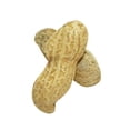 thumbnail image 4 of In Shell Dry Roasted Peanuts Salted, 4 of 6