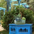 thumbnail image 4 of MesaSe Ceramic Plant Pot Rattan Handheld Succulent Pots Planter For All Indoor Plants Flowers, 4 of 9