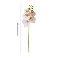 thumbnail image 5 of Artificial Silk Phalaenopsis Flowers Bundles Leaves Artificial Orchid Flowers Stem Plants in White Fake Butterfly Phalaenopsis Flowers for Home Wedding Party Décor, 5 of 7