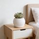 thumbnail image 5 of Macetas artificiales con platillos | Macetas decorativas de plástico para uso interior y exterior | Macetas pequeñas y medianas para suculentas y plantas de interior | Juego de 1, 5 of 6