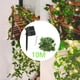 thumbnail image 5 of Luces de vid artificiales Luces de hadas IP65 a prueba de agua para pared exterior Navidad 10M 100 LED kusrkot luces de hadas al aire libre, 5 of 8