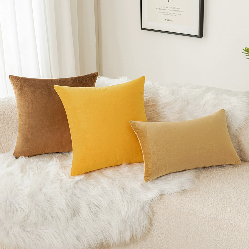 Cterwk Pack of 2 Velvet Soft Throw Pillow Covers Solid Decorative Pillowcase Square Pillow Case for Sofa Bedroom Car, 22x22 Inch
