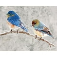 thumbnail image 2 of Stellar Design Studio 18x15 White Modern Wood Framed Museum Art Print Titled - Eastern Bluebirds 1, 2 of 4
