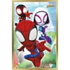 Marvel Spidey and His Amazing Friends - Webs Wall Poster, 14.725" x 22.375" Framed